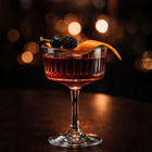 Stainless Steel Cocktail Picks – Martini Sticks (10 PCS Set)